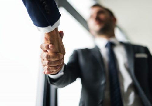 Componenta Consilieri Locali