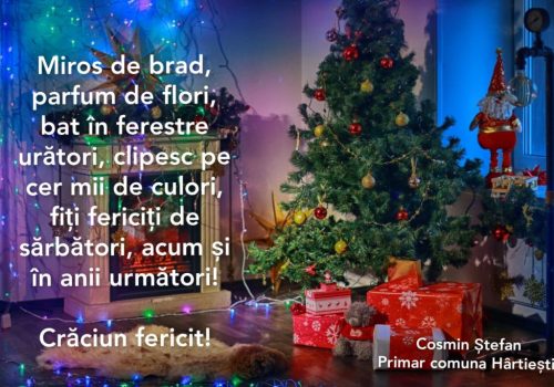 WhatsApp-Image-2022-12-26-at-20.46.14